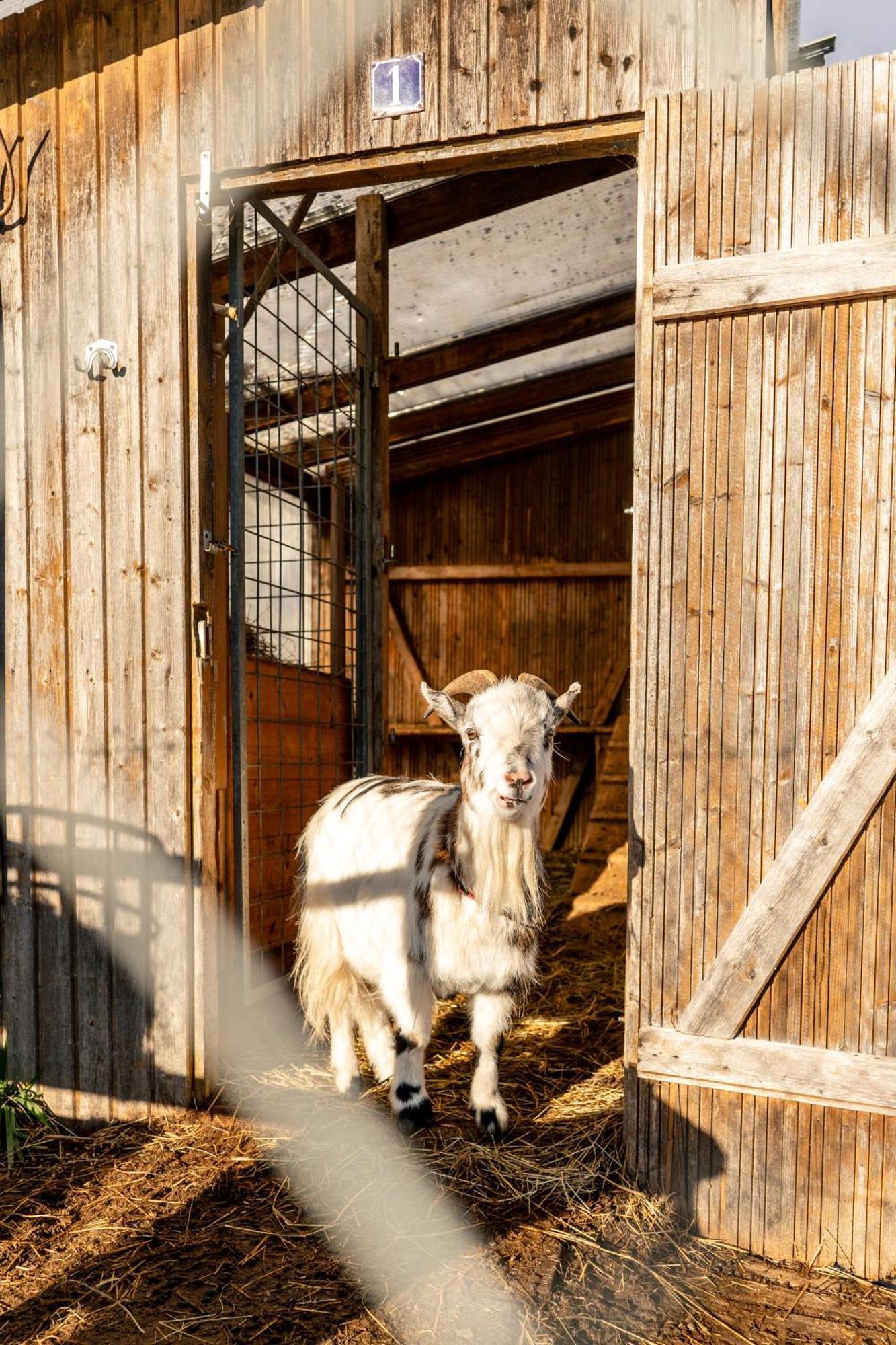 Klosterblick Inzigkofen Exteriér fotografie